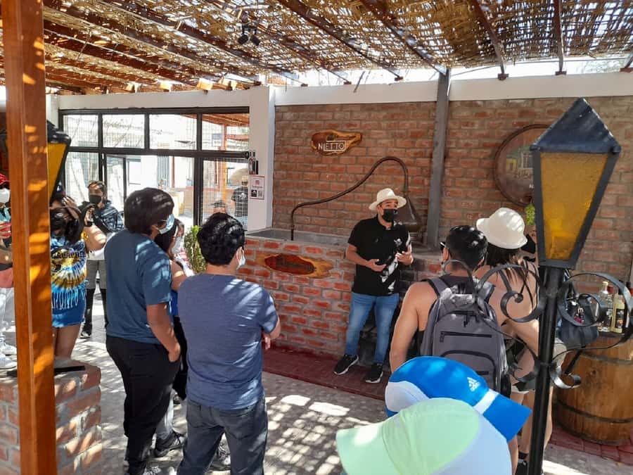 Ica: Pisco Wineries and Vineyards Day Tour - Authenticity and Genuine Value