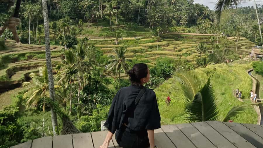 Ubud :Monkey forest, Water Temple and waterfall Private Tour - Introduction