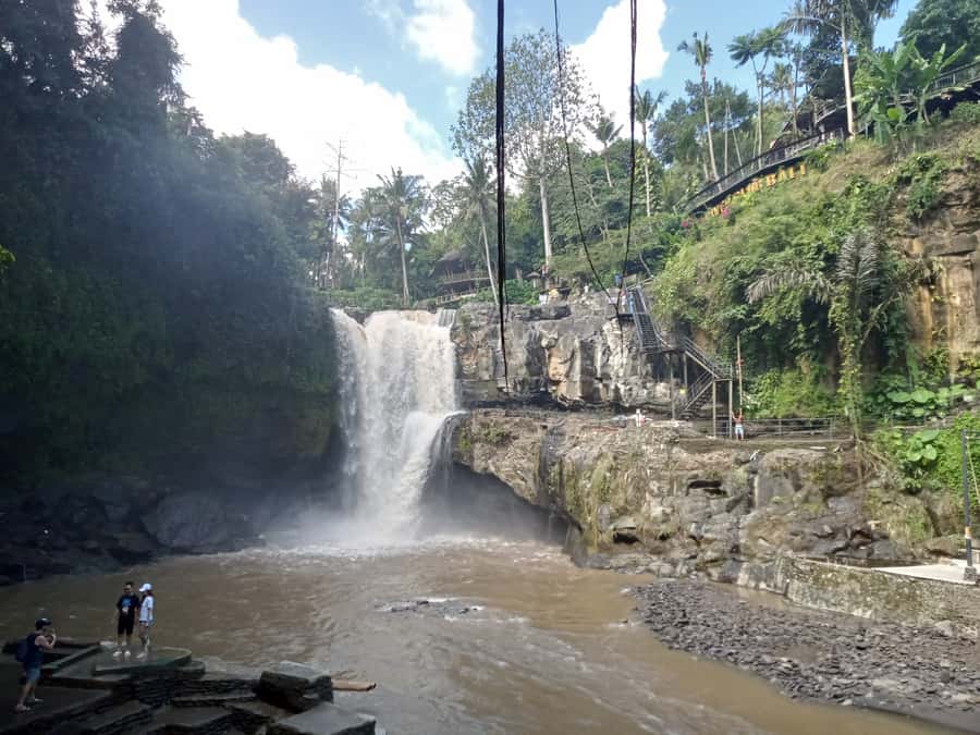 Ubud :Monkey forest, Water Temple and waterfall Private Tour - What Makes This Tour Stand Out?