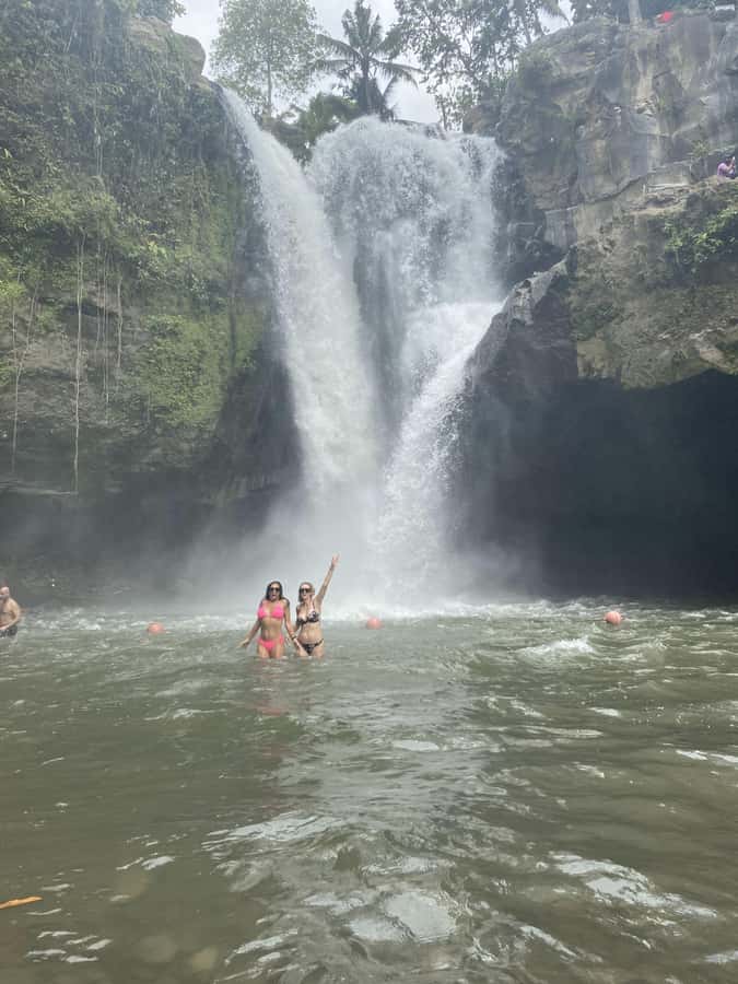 Ubud :Monkey forest, Water Temple and waterfall Private Tour - Final Thoughts: Who Is This Tour Best For?