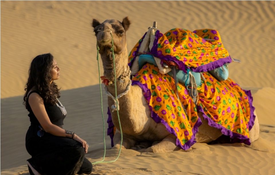 Peeps Billions of Star Experience with Desert & Camel Safari - Key Points