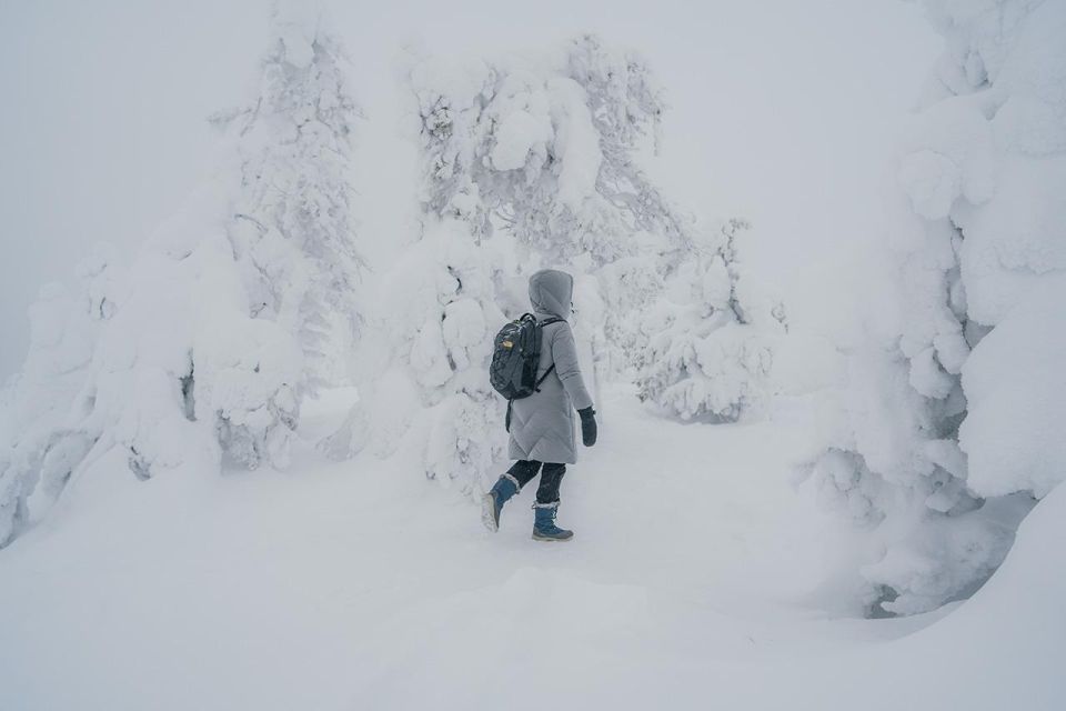 Hiking in Riisitunturi National Park with Photographer - Key Points