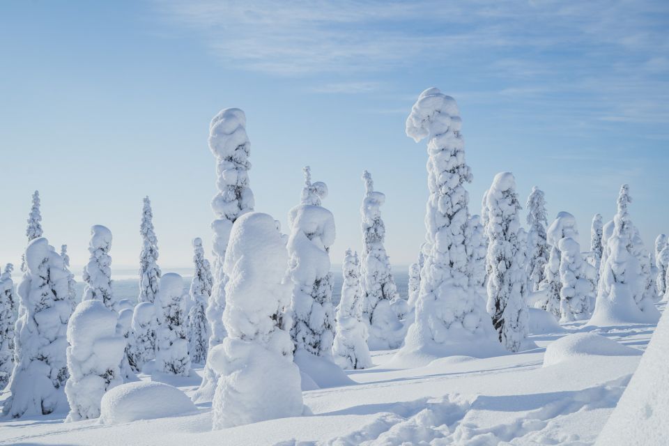 Hiking in Riisitunturi National Park with Photographer - Who Will Love This Tour?