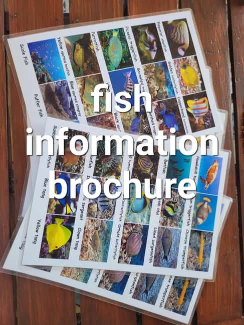 Bali/Amed: Transparent Kayak Experience - FAQs