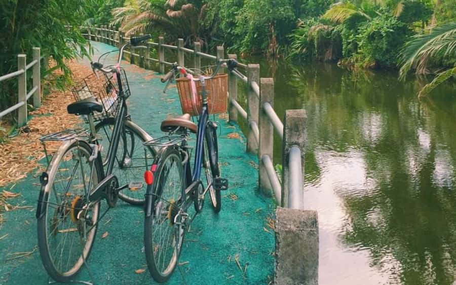 Bangkok: Private Tour Bang Kachao and Bang Nam Phueng - An In-Depth Look at the Tour Experience