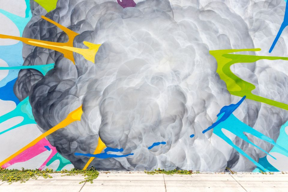 Private Street Art Tour in Miami - Exploring the Colorful Walls of Miami: A Private Street Art Tour