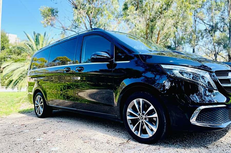 Blue Mountains: Private Tour with Wildlife and River Cruise - Discovering the Blue Mountains: A Practical Look at the Private Wildlife and Scenic Tour