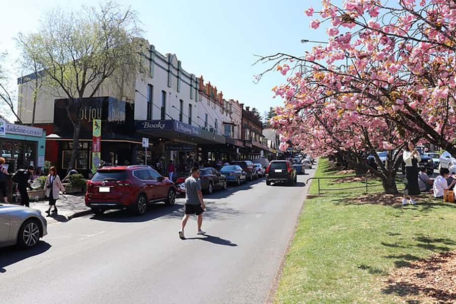 Blue Mountains: Private Tour with Wildlife and River Cruise - What to Expect from the Experience