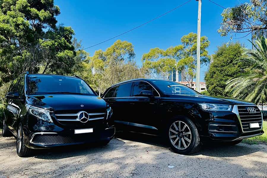 Blue Mountains: Private Tour with Wildlife and River Cruise - The Sum Up: Is This Tour Worth It?