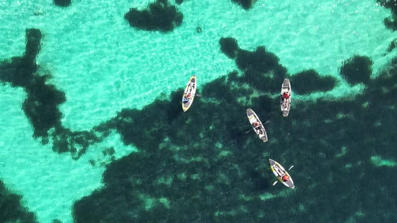 Golfo Aranci: Dolphin Watching Kayaking Tour with Aperitif - A Closer Look: What’s Included and How it Works