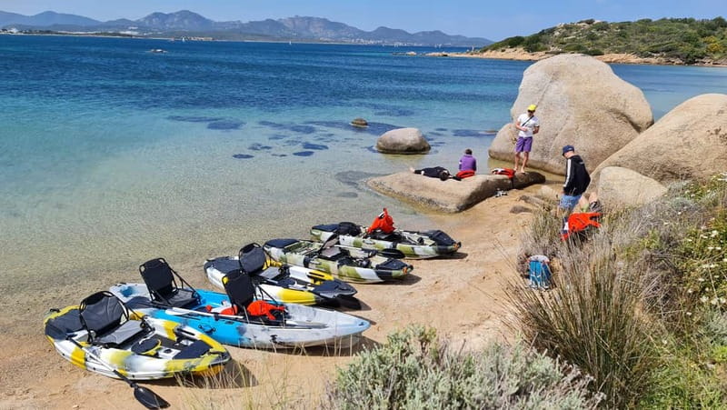 Golfo Aranci: Dolphin Watching Kayaking Tour with Aperitif - Visiting the Island of Figarolo
