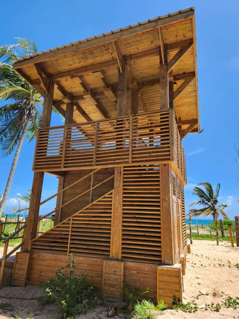 Los Haitises & Esmeralda Beach + Montana Redonda - A Deep Dive into the Experience