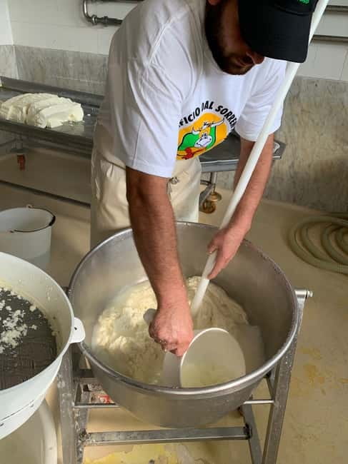 Naples: Mozzarella Experience - Taste of Southern Italian Delights