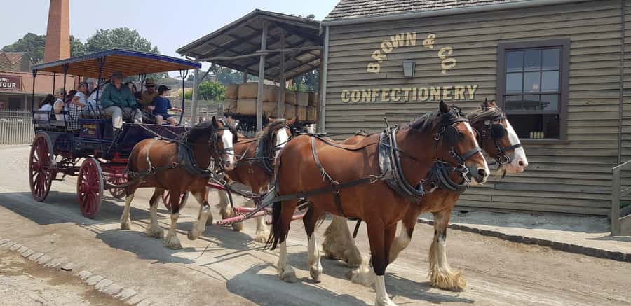Sovereign Hill & 12 Apostle Private Tour  Up to 14 pax - Exploring the Itinerary: What You Can Expect
