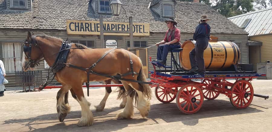 Sovereign Hill & 12 Apostle Private Tour  Up to 14 pax - What Makes This Tour Stand Out?