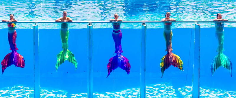 From Antalya/Kemer: Dolusu Park (Medium Package) - An In-Depth Look at Dolusu Park: A Splash of Turkish Fairy Tales