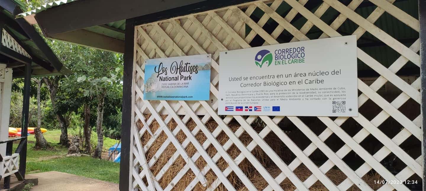 Miches: Los Haitises, Transfer, Walking & Boat tour. - Exploring Los Haitises: What to Expect