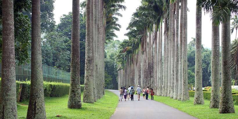 Kandy City Tour With Ambuluwawa Tower - Good To Know