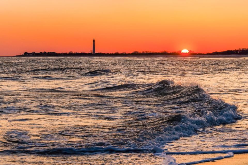 Cape May: Sunset Dolphin Cruise with Optional Wine Tastings - Who Will Love This Tour?