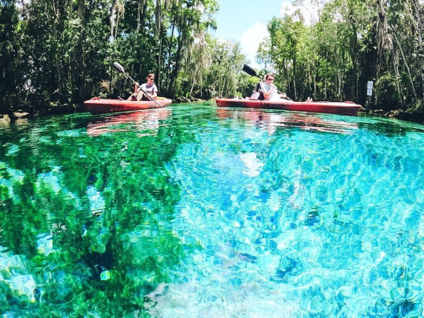 Crystal River: Kayak Rental - The Sum Up