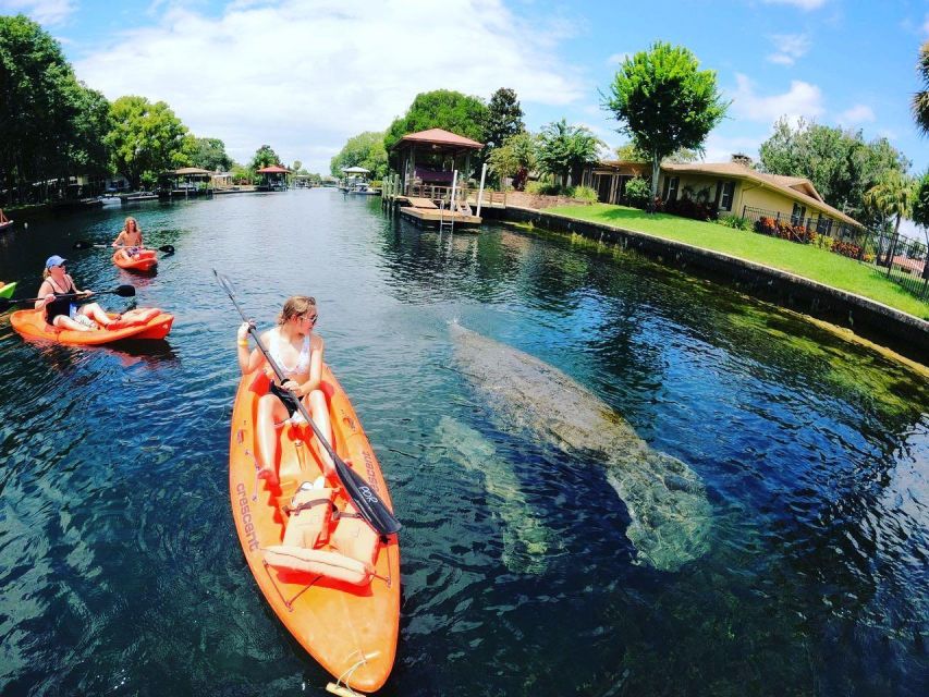 Crystal River: Kayak Rental - An In-Depth Look at the Crystal River Kayak Rental Experience