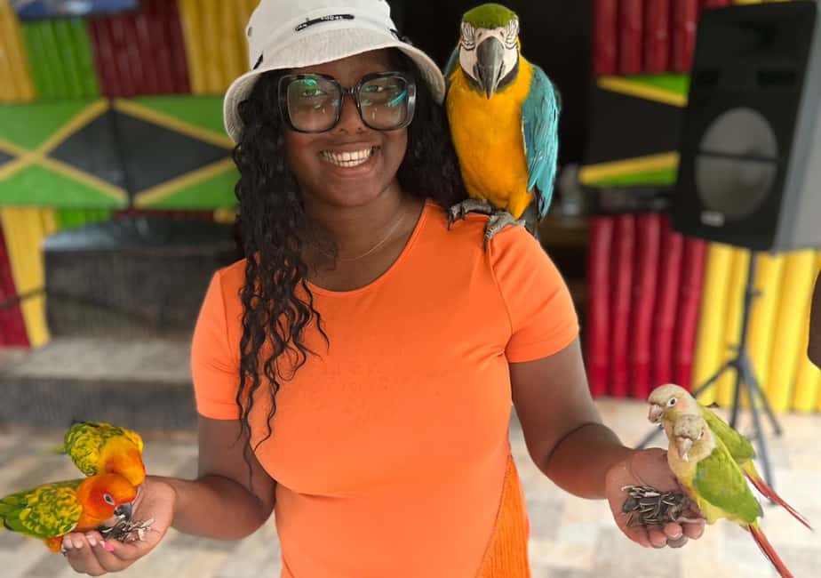 Animal & Bird Farm with Private Transport - Why This Tour Works Well