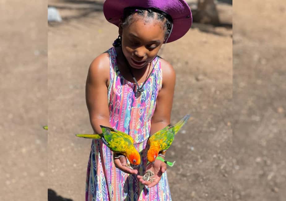 Animal & Bird Farm with Private Transport - The Sum Up