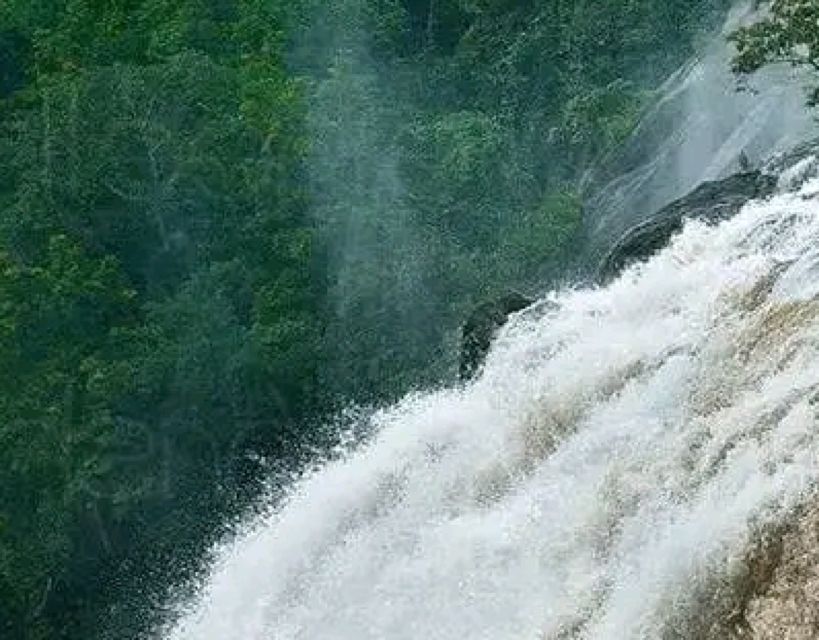 Waterfalls of Athirapply or Areekal Tour: Niagra of S. India - Is This Tour Worth It? An Honest Assessment