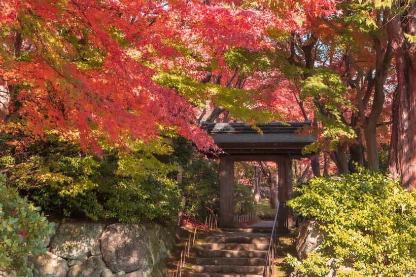 Craft Dining 2025 x Performing Arts in the MOA Museum - Why This Tour Is Perfect for Who?