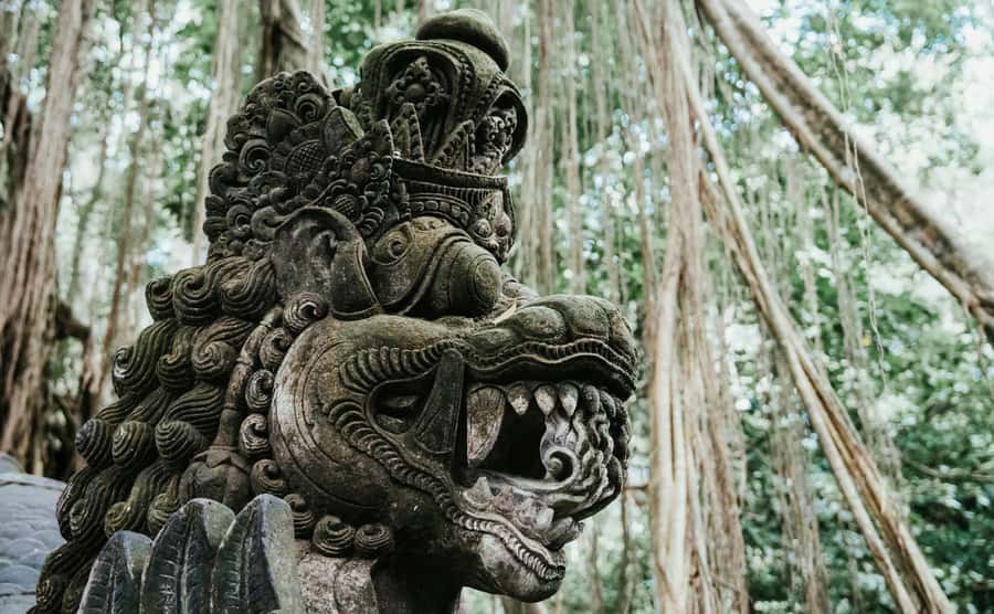 Ubud, Monkey forest, Riceterace Waterfall, Purification - Who Should Consider This Tour?