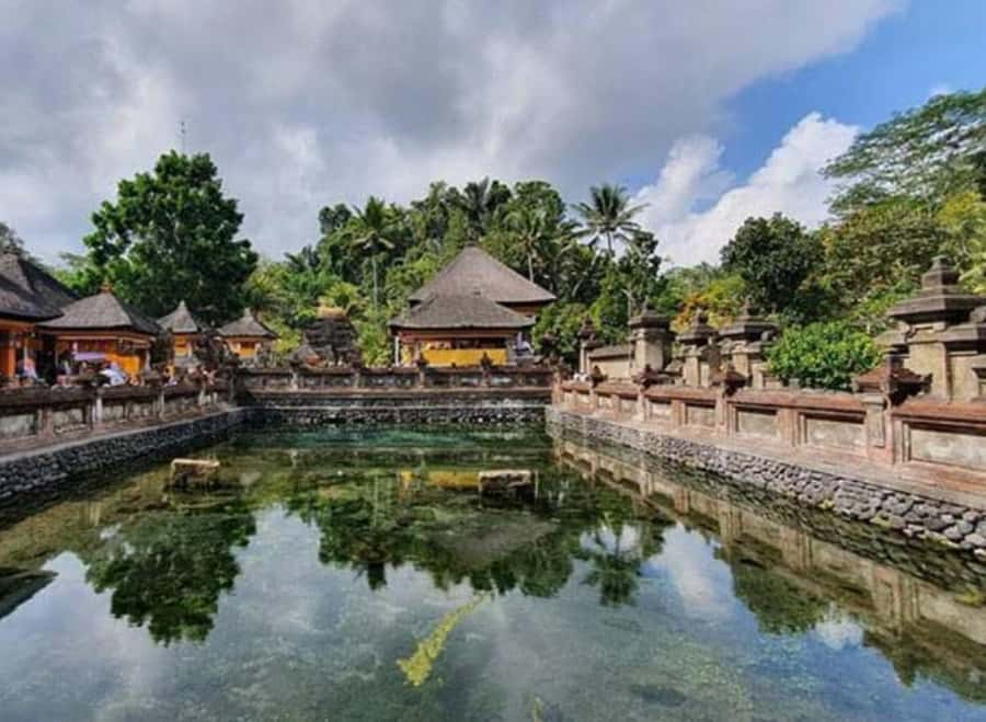 Ubud, Monkey forest, Riceterace Waterfall, Purification - Why This Tour Offers Great Value