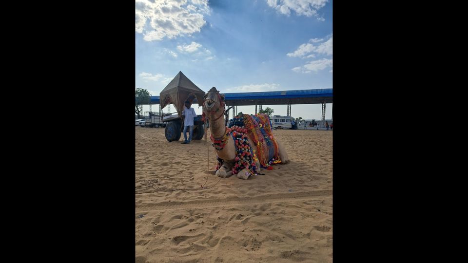 Jaipur to Puskar Same Day trip - FAQs