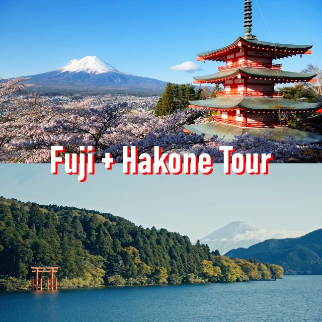 Tokyo to Mount Fuji and Hakone: Private Full-Day Tour - What’s Included and What to Keep in Mind