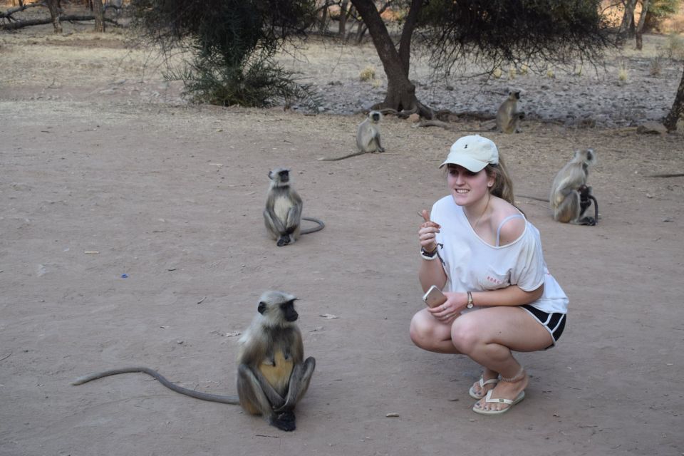 1 Night 2 Days Ranthambhore WildLife Tour From Jaipur - Wildlife Encounters and Diverse Fauna