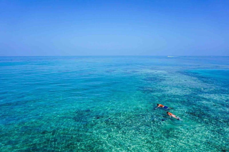 From Tulum: Cenote Riviera Maya & Snorkel Excursion - Key Points