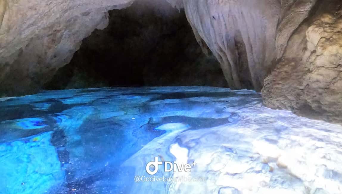 Bayahibe - Cenotes Scuba Diving - Godive Bayahibe - Why This Tour Works for the Right Traveler