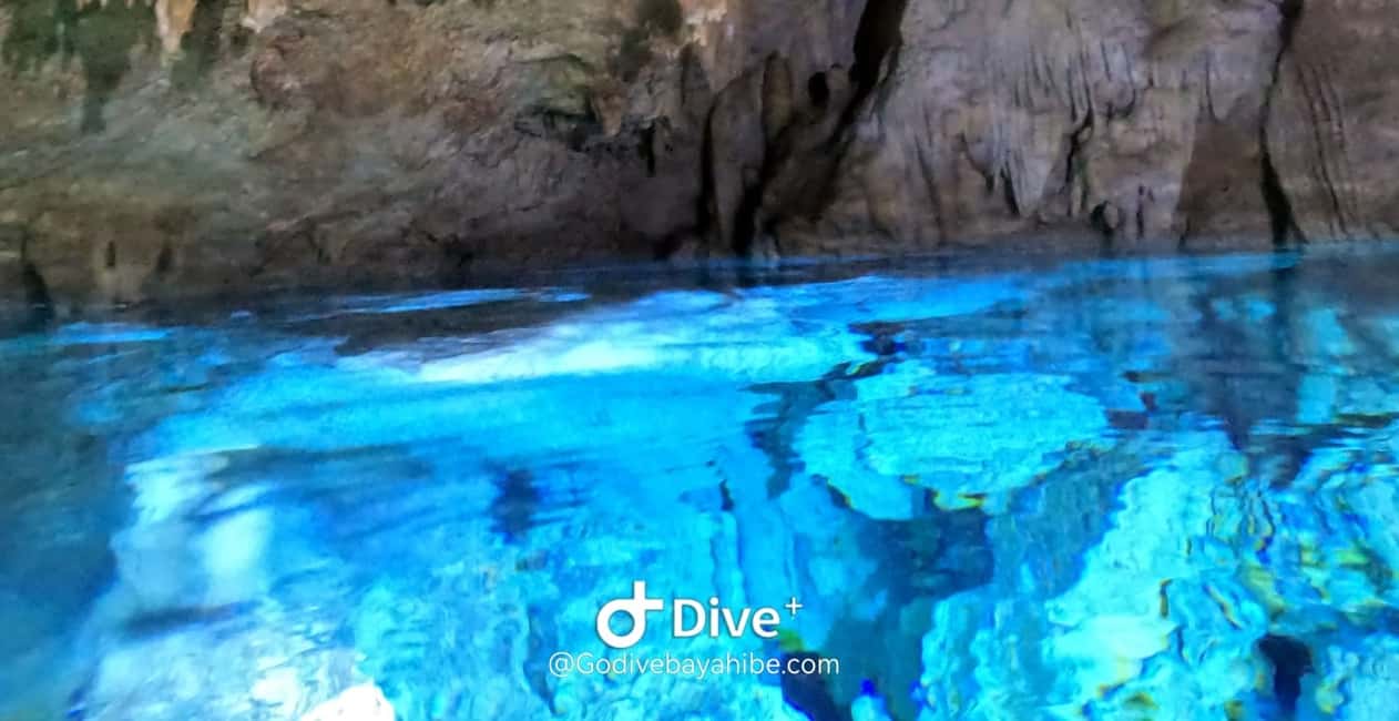 Bayahibe - Cenotes Scuba Diving - Godive Bayahibe - Discovering the Underwater World of Cenote El Chicho with Go Dive Bayahibe
