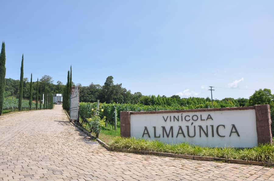 Bento: DayTour Privado Vale Vinhedos saindo de Porto Alegre - Who Will Love This Tour?