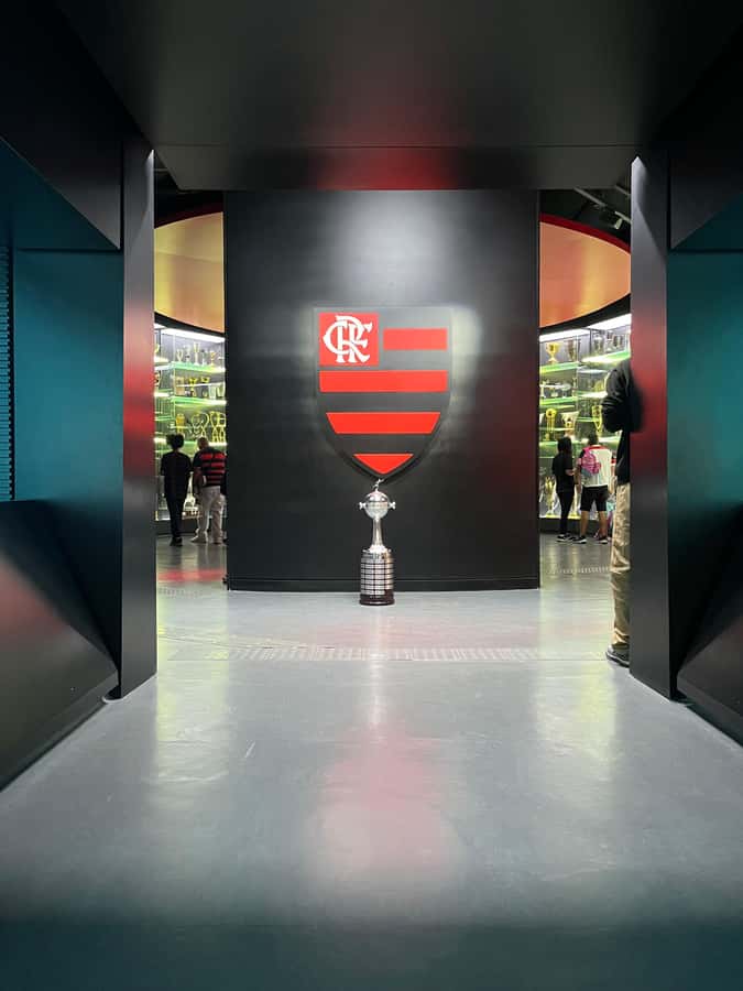 Rio de Janeiro: Flamengo Museum Ticket Entrance - Why This Tour Is Worth It