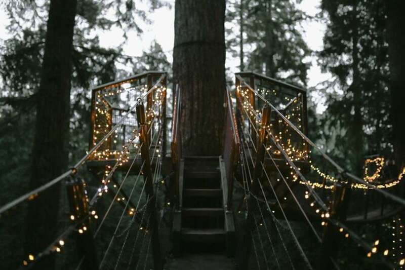 Vancouver Capilano Canyon light&peak of Christmas in Grouse - What Sets This Tour Apart?