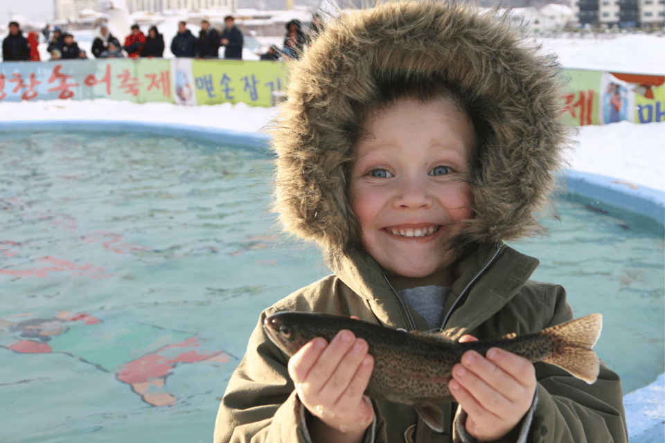 From Seoul: Pyeongchang Trout Festival - Practical Tips for Your Visit