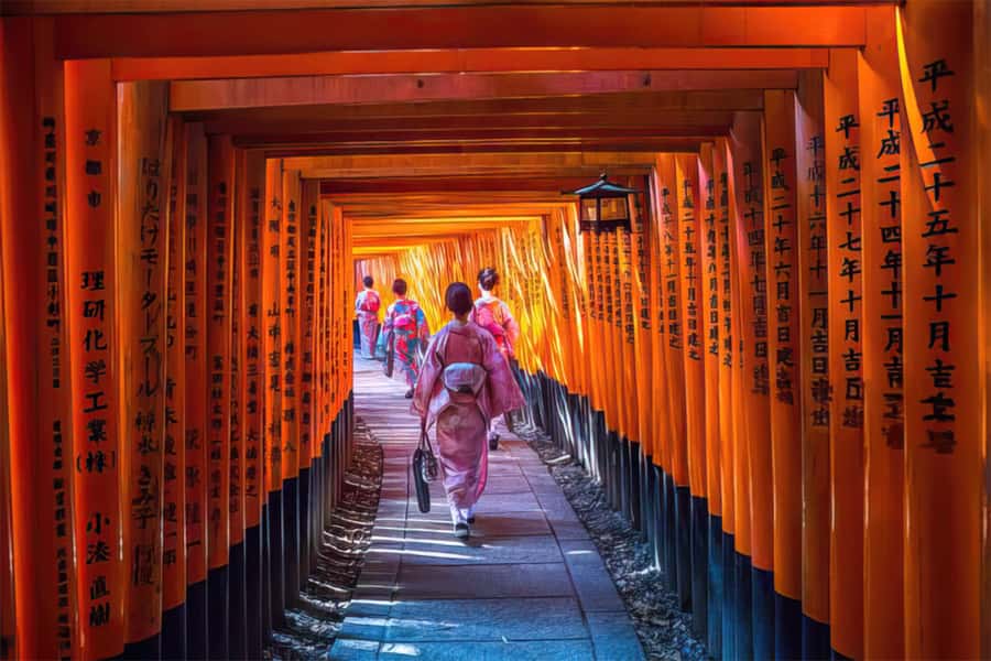 Fushimi Inari - Arashiyama: Torii Gates, Bamboo, Monkey Park - Good To Know