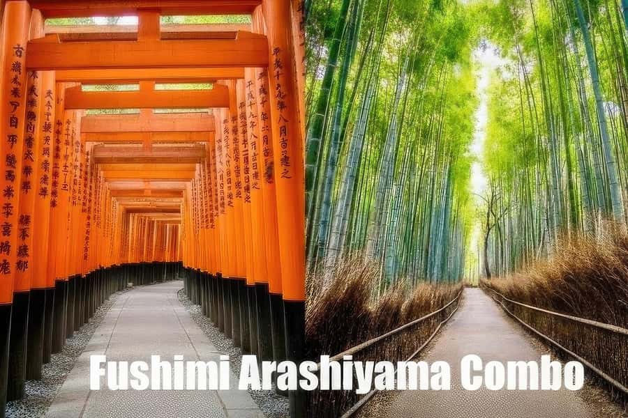 Fushimi Inari - Arashiyama: Torii Gates, Bamboo, Monkey Park - Authentic Insights from Reviewers