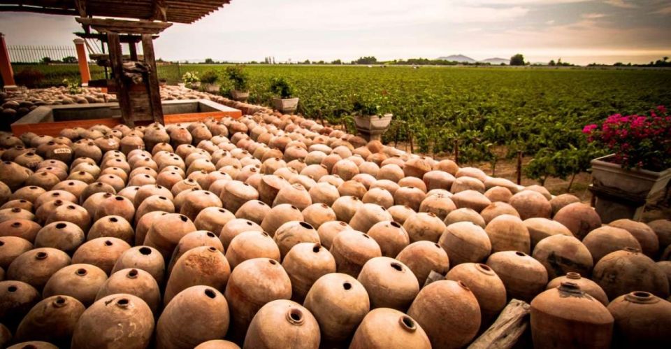 From Lima:Paracas Ballestas Islands and Ica Oasis 1 day Tour - Final Stop in Chincha & Return to Lima