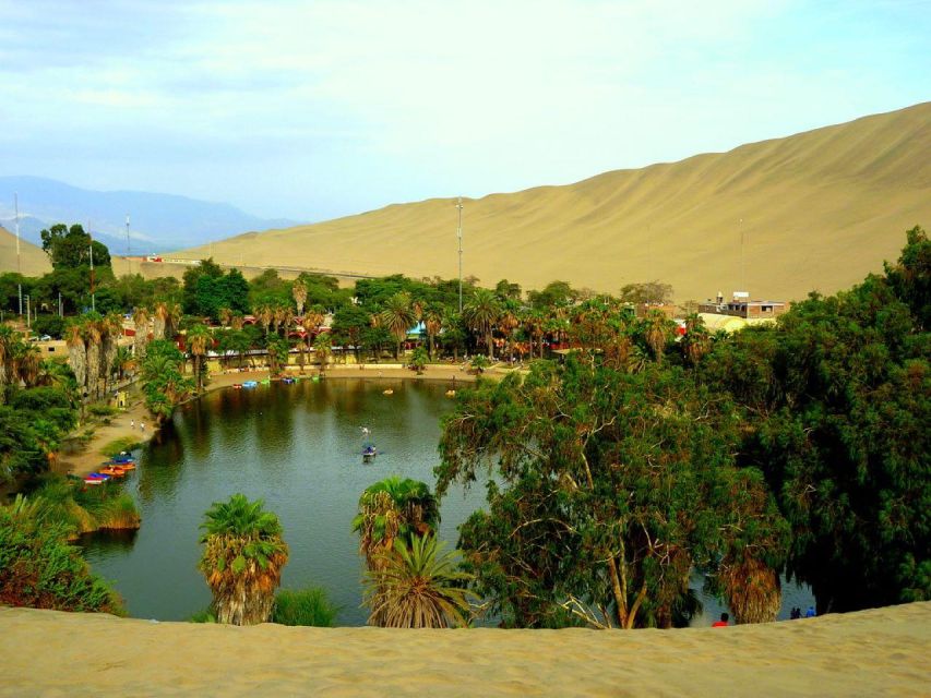 From Lima:Paracas Ballestas Islands and Ica Oasis 1 day Tour - Who Will Love This Tour?