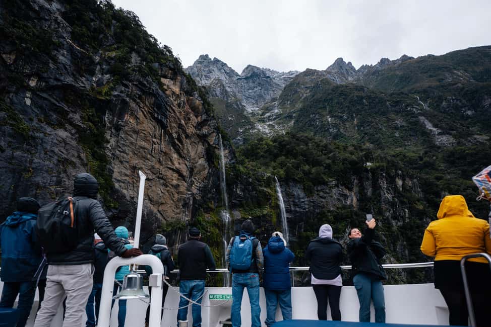 Milford Sound: Waterfalls, Wildlife, and Rainforest Cruise - Who Will Love This Cruise?