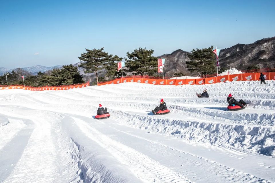 Snowy Land, Alpaca World, and Strawberry Picking - Transportation, Pricing, and Overall Value