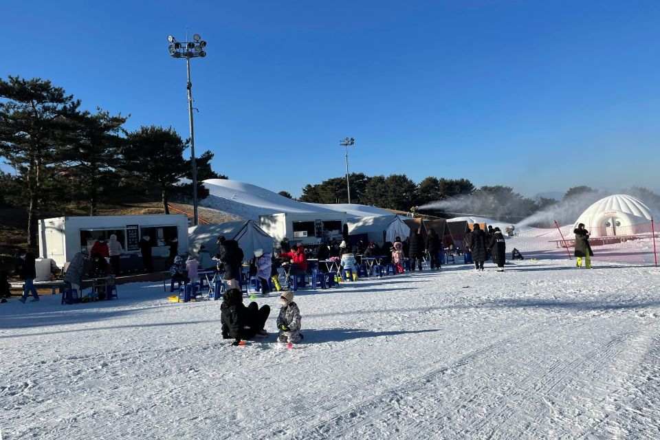 Snowy Land, Alpaca World, and Strawberry Picking - Encountering Fluffy Animals at Alpaca World