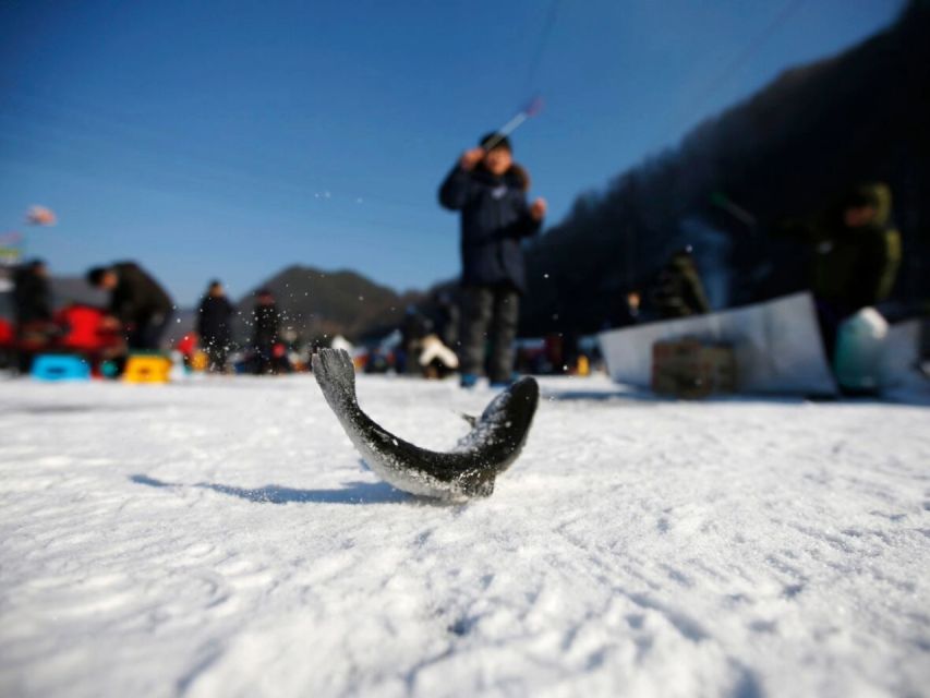 Snowy Land, Alpaca World, and Strawberry Picking - Who Will Love This Tour?