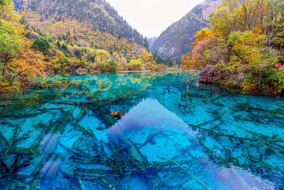 Private 3-Day Jiuzhaigou/Huanglong Tour - Day 2: Jiuzhaigou Valley — Nature’s Masterpiece
